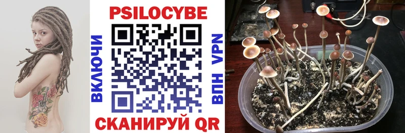 Псилоцибиновые грибы Magic Shrooms  Купить где  Александровск-Сахалинский 